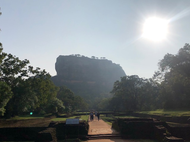 Voices of customers who actually used a taxi charter on a trip to Sri